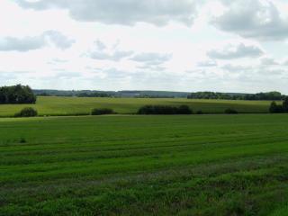 Les Grillettes - Ploërmel - 2