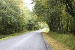 Gite de la Maison Fort - 8