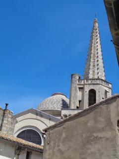 Le Lapin Blanc - Saint-Rémy-de-Provence - 9