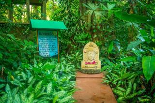 The Goddess Garden Eco-Resort - 4