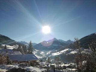 Alpbachblick - 9