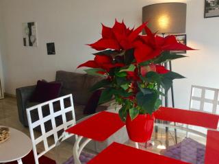 Appartement Dolce Vita - Cagnes-sur-Mer - 1