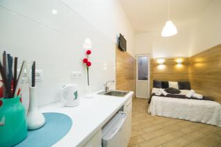 Mini Economy apartments- Filatova 10 - Lviv - 8