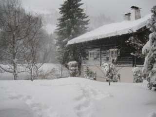 Haus Klinger - Gaschurn - 2