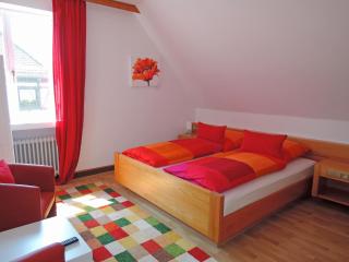 Hotel Sonne29 - 1