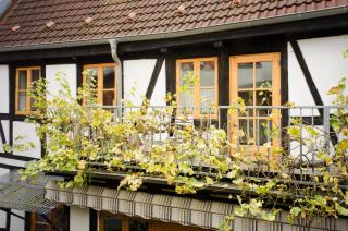 Herberge KAFFETIET - Wismar - 5