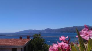 Sebastian House - Cala Gonone - 9