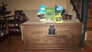 La Artesana - Posada de Rengos - 3