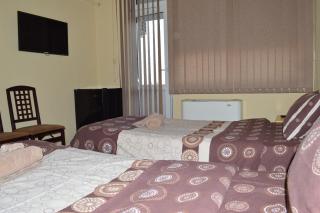 Dionis Hotel - Petrich - 3
