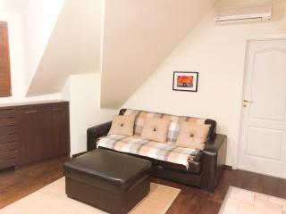 Cozy Flat in Villa Near Old Town - Bucharest - 3