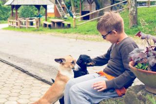Farm Stay Loger - Ljubno - 6