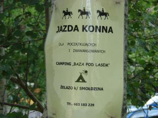 Agroturystyka Pod Kogutkiem - Czysta - 2