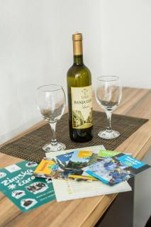 Studio apartman Centar - Banja Luka - 3