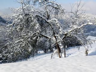 Gîte du Poirier - 5