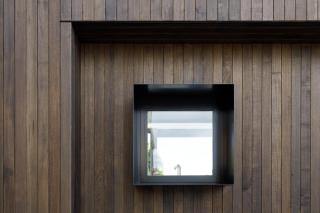 Blue Magnolia - Hobart - 6