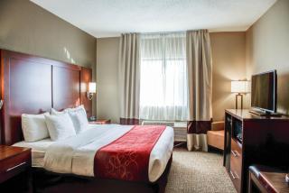 Comfort Suites Lombard - Addison - Lombard - 2