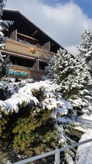 Hotel Walida - Bönigen - 8