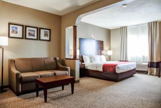 Comfort Suites Lombard - Addison - Lombard - 5