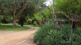Shankara Rest Camp - Makena - 9