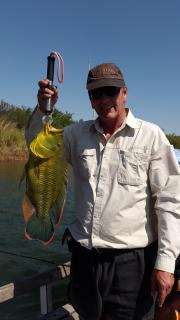 Shankara Rest Camp - 2