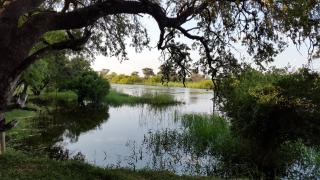 Shankara Rest Camp - Makena - 0
