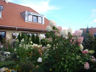 Apartament Honey - Polanica-Zdrój - 5