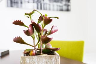 A3 Hotel - Oberhonnefeld-Gierend - 9