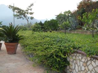 Oasi Verde - 4