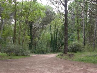 Loft Hadas del Bosque - Mar de las Pampas - 8