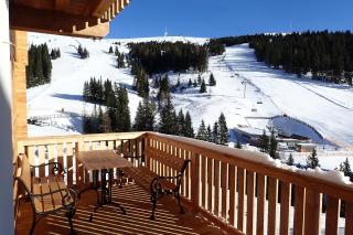 Veselý Svišť Chalet Lachtal - 9