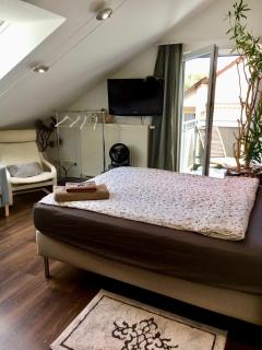 Guest Room in Stuttgart-Nord - 5