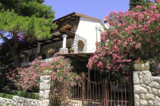 Luka - Mali Lošinj - 3