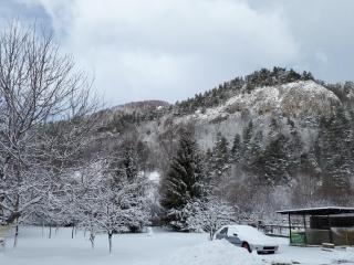 Pensiunea Alpin - 6
