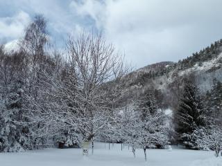 Pensiunea Alpin - Bran - 7