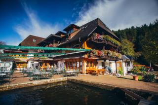 Hotel Tannenmühle - Grafenhausen - 6