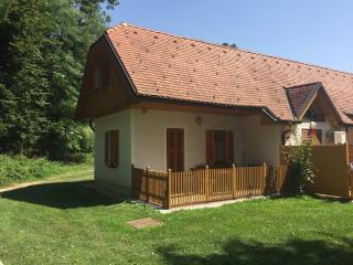 Apartma Marjetica 47 - Moravske Toplice - 9