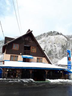Pensiunea Alpin - Bran - 8