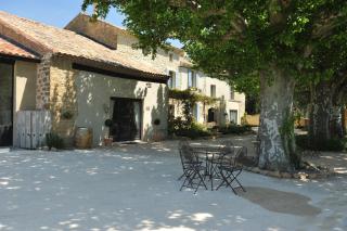 Le Mas Terre Des Anges Gite - Sarrians - 9