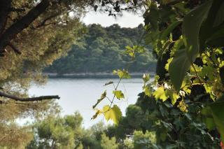 Luka - Mali Lošinj - 7