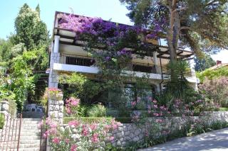 Luka - Mali Lošinj - 4