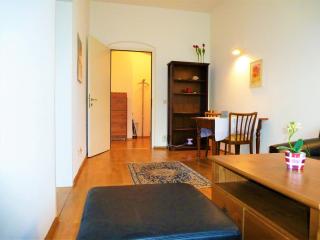Charming, central, spacious apartment - Innsbruck - 6