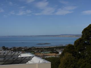 Spectacular Holiday Living - Bridport - 8