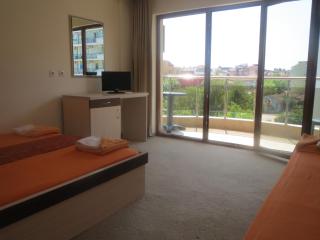 Family Hotel Golden Lion - Primorsko - 6