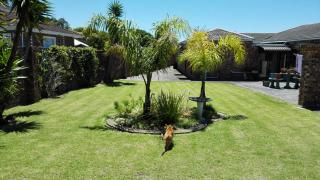 Humewood Home Stay - Port Elizabeth - 0