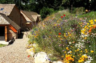 Domaine des Marequiers Le Gite Asphodèle - Saint-Germain-du-Teil - 5