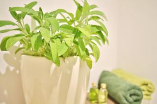 Bergers-Landgasthof - 3