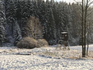 FWV Chalet 2 Le Scandinave - 3