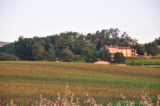 Bosco dei Poveri - Agazzano - 7