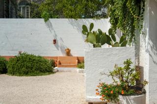 Masseria La Macchiola & Corti del Mito - Spongano - 4
