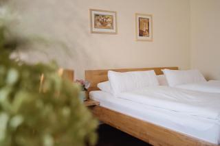 Hotel-Pension Am Böhmepark - 8